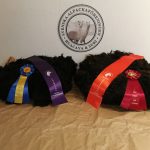 Champion Black Emporia Carbon ägare Anna-Klara Molin & Fredrik Larsson Reserve Champion Jägarbo Strawberry Pie ägare Jägarbo Alpaca