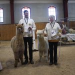 Supreme Champion Kusipacha Yabbalu och Judger Choice Emporia Dante